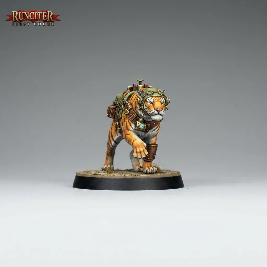 Jhavar · Tiger Companion