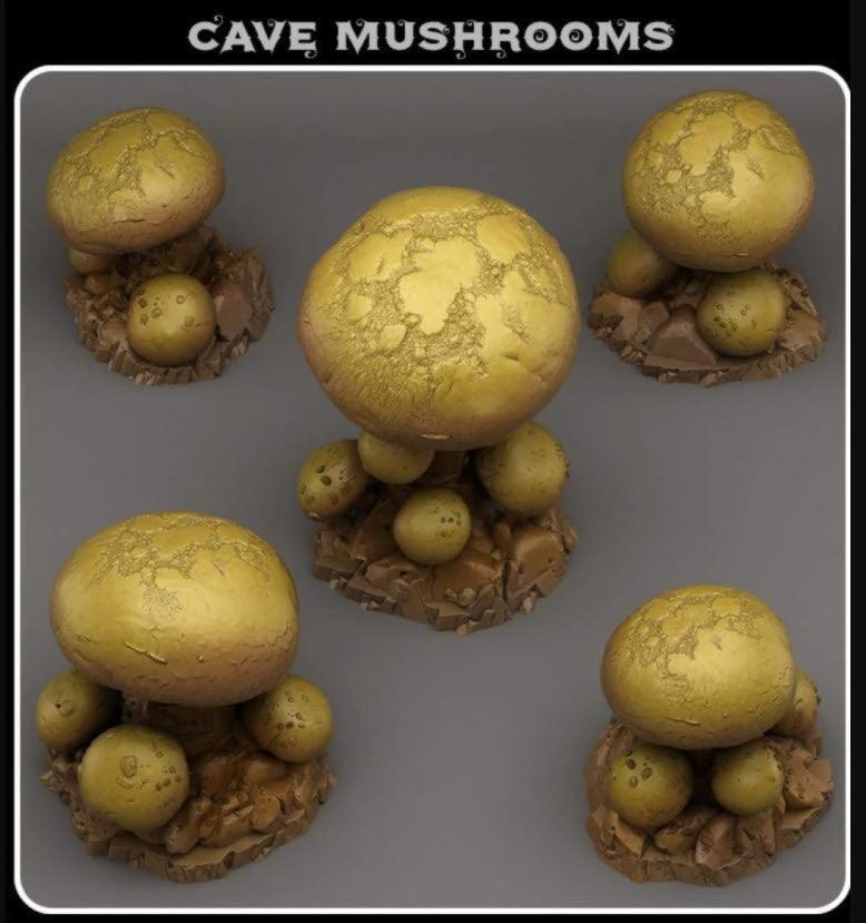 Cave Mushrooms