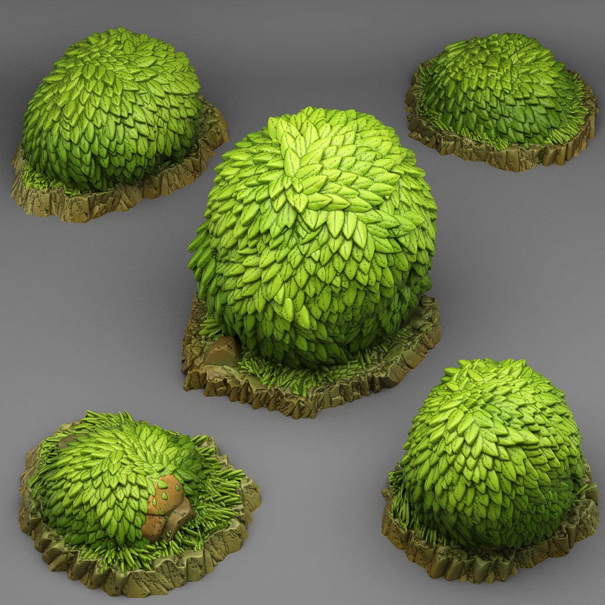 Green Round Bush