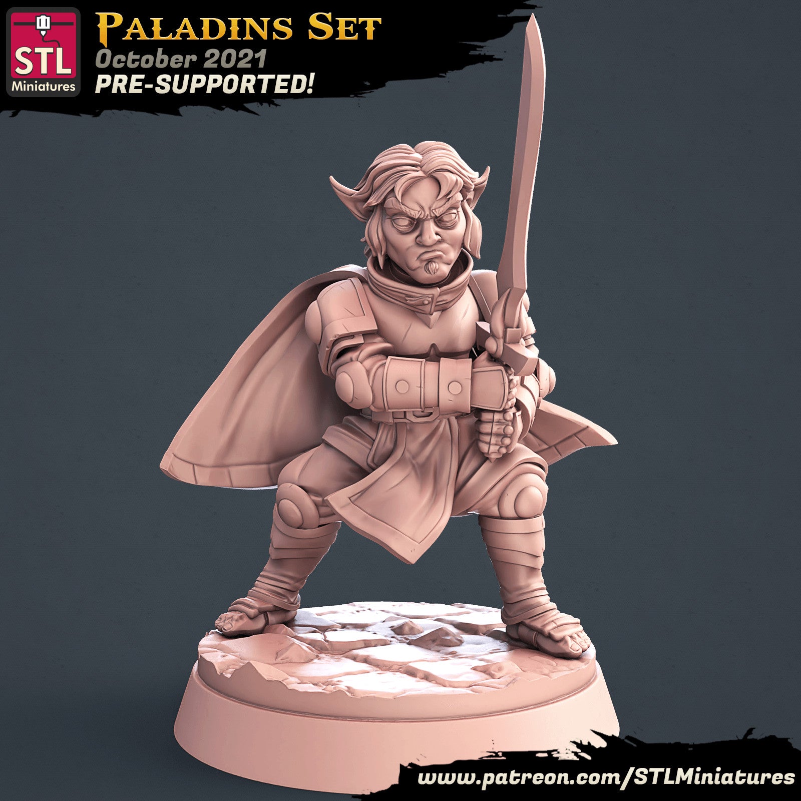 Paladin 28mm miniature alternate pose