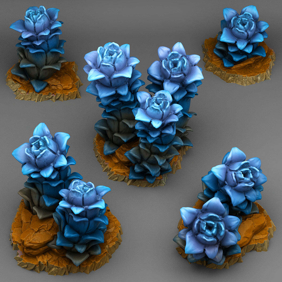 Night Desert Plants