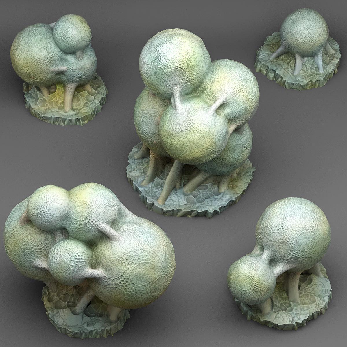 Giant Spider Eggs