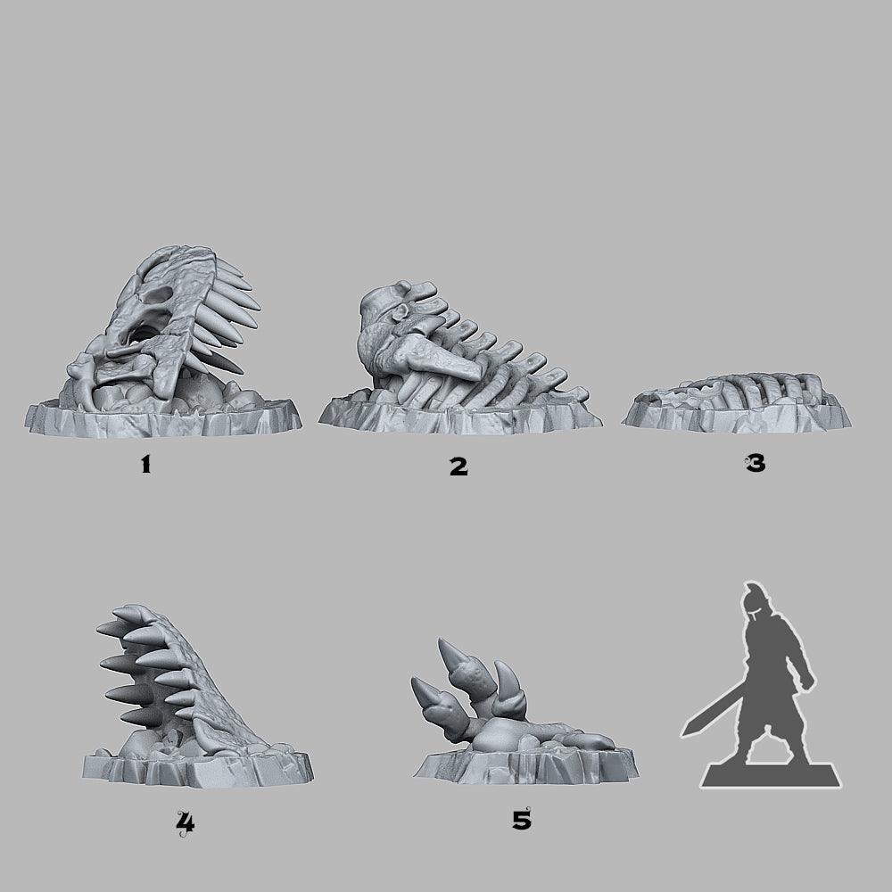 Fossilized T-Rex