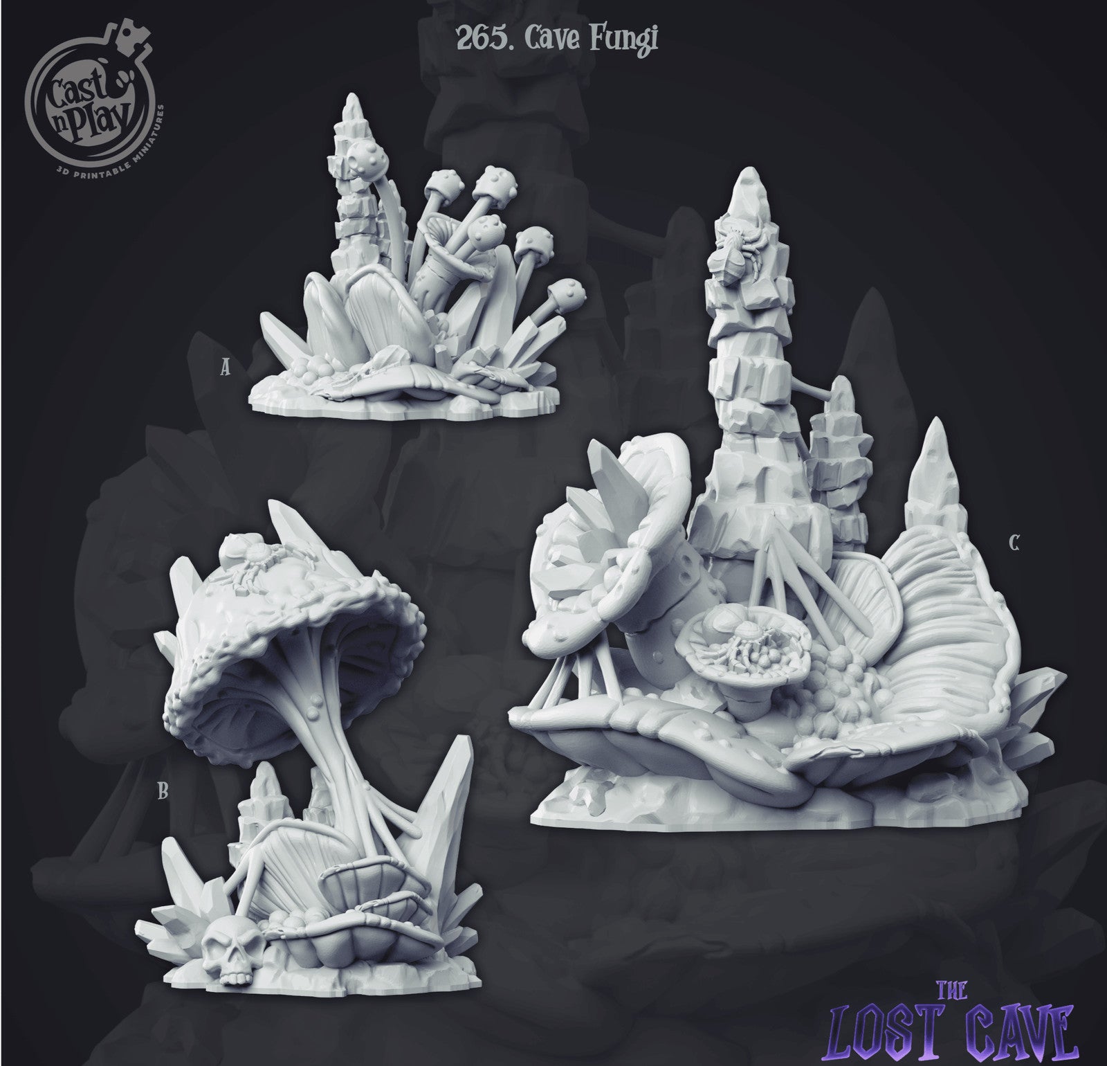Cave Fungi