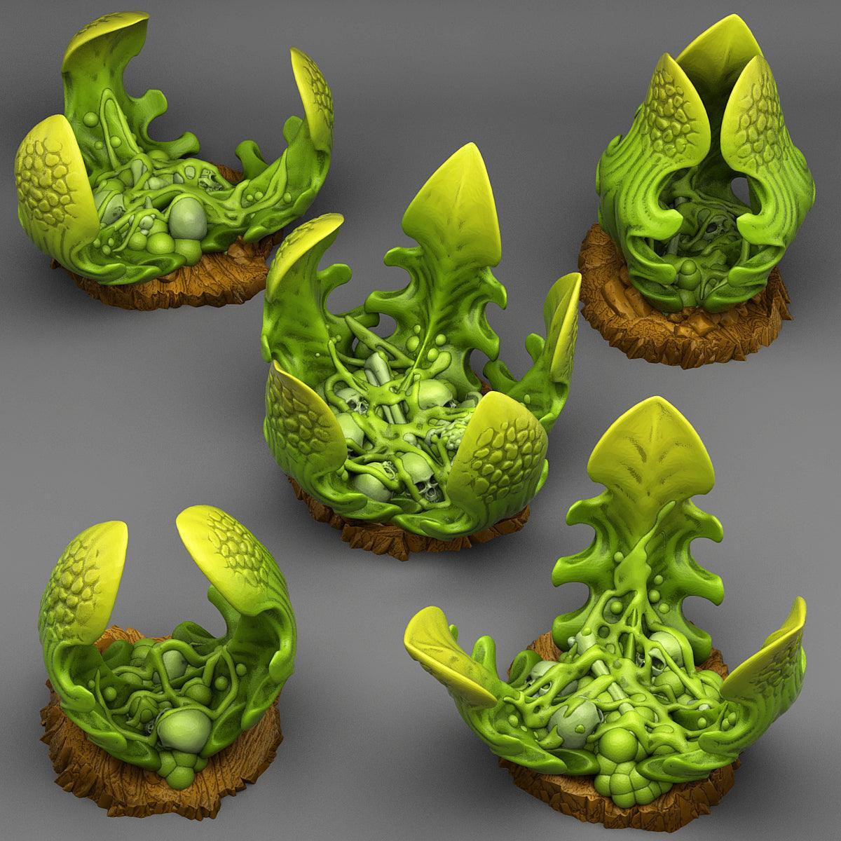 Carnivorous Glue Plants