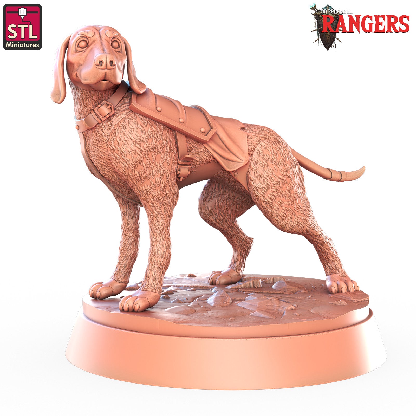 Ranger hound miniature B