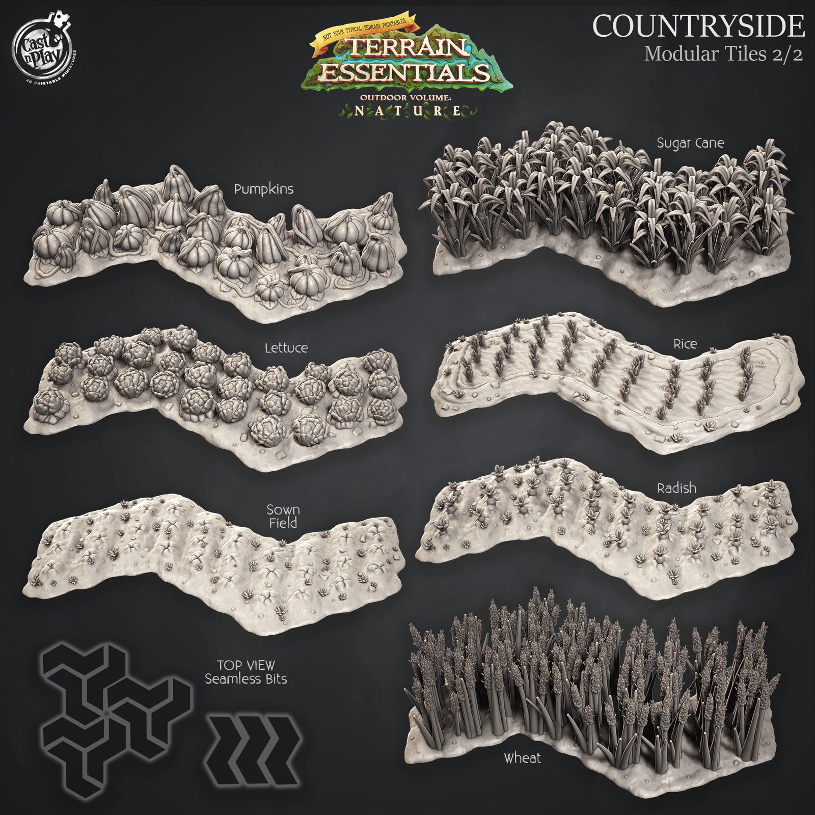 Nature Meadows and Countryside Terrain