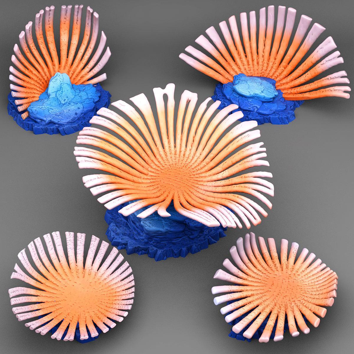 Seafan Coral