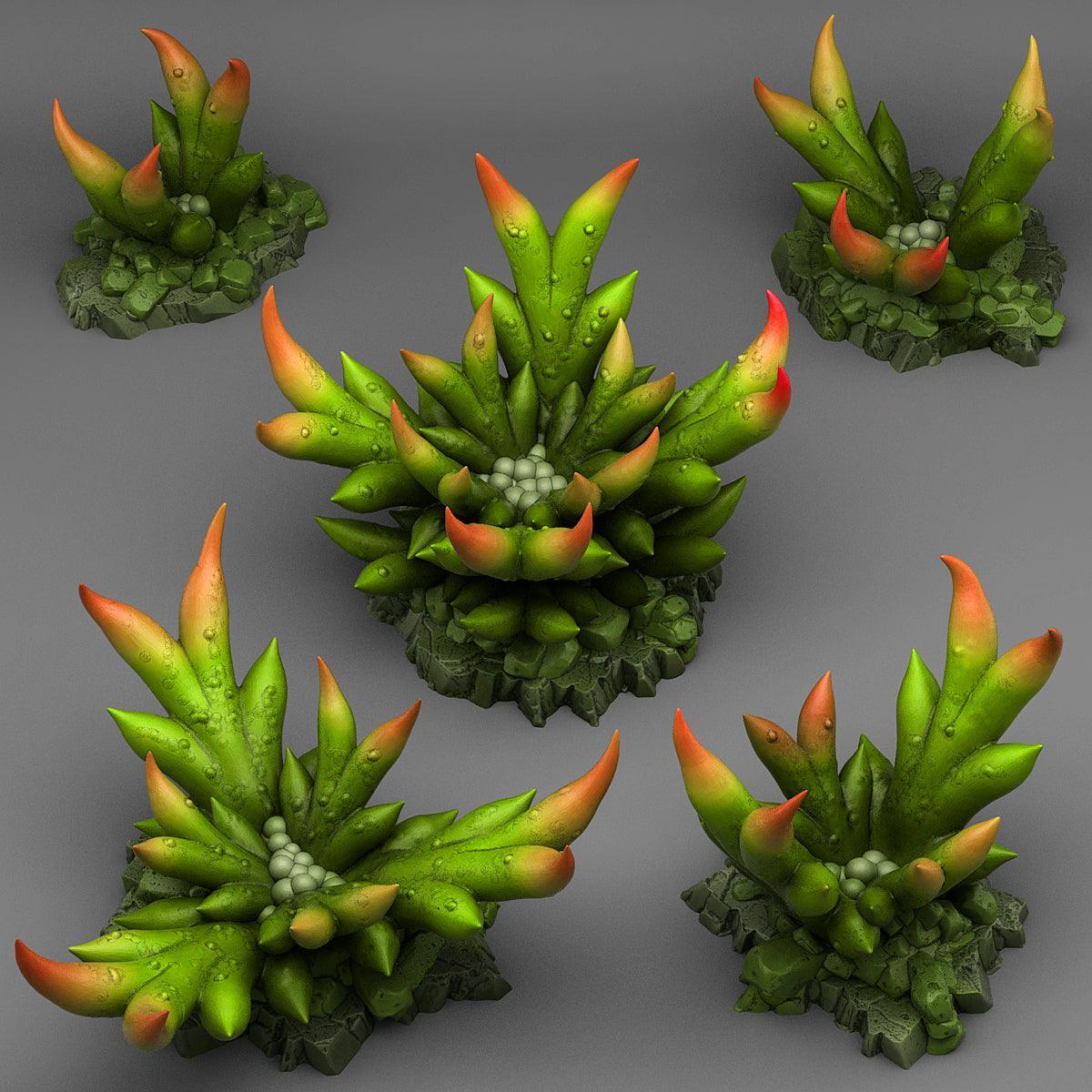 Creepy Bromeliad