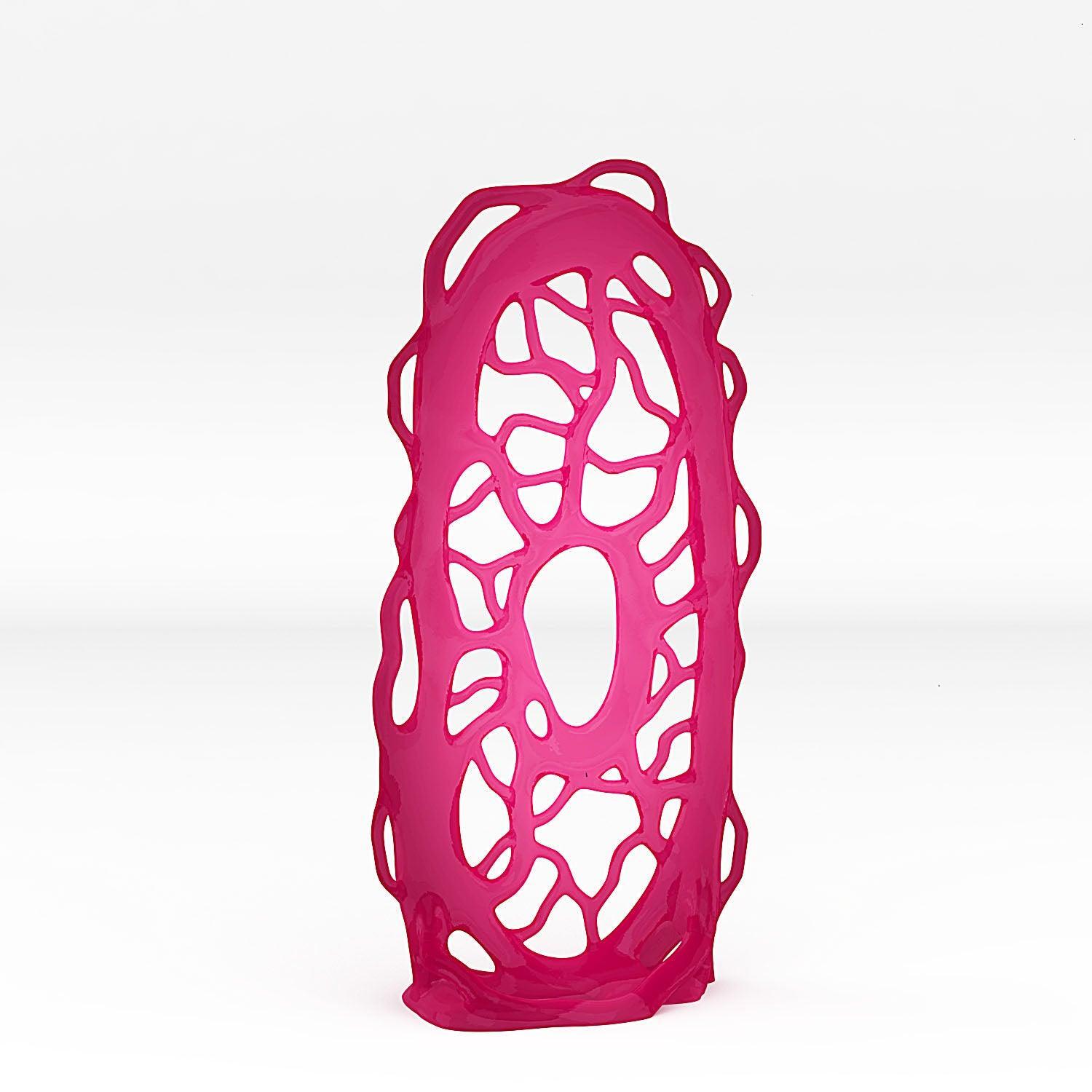 Amazone Portal With Its Lianas Effect