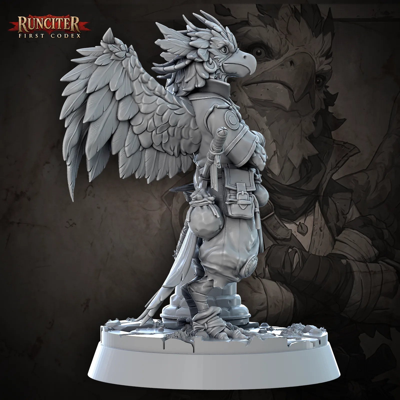 Kestrel Featherfall · Female Aarakocra Monk