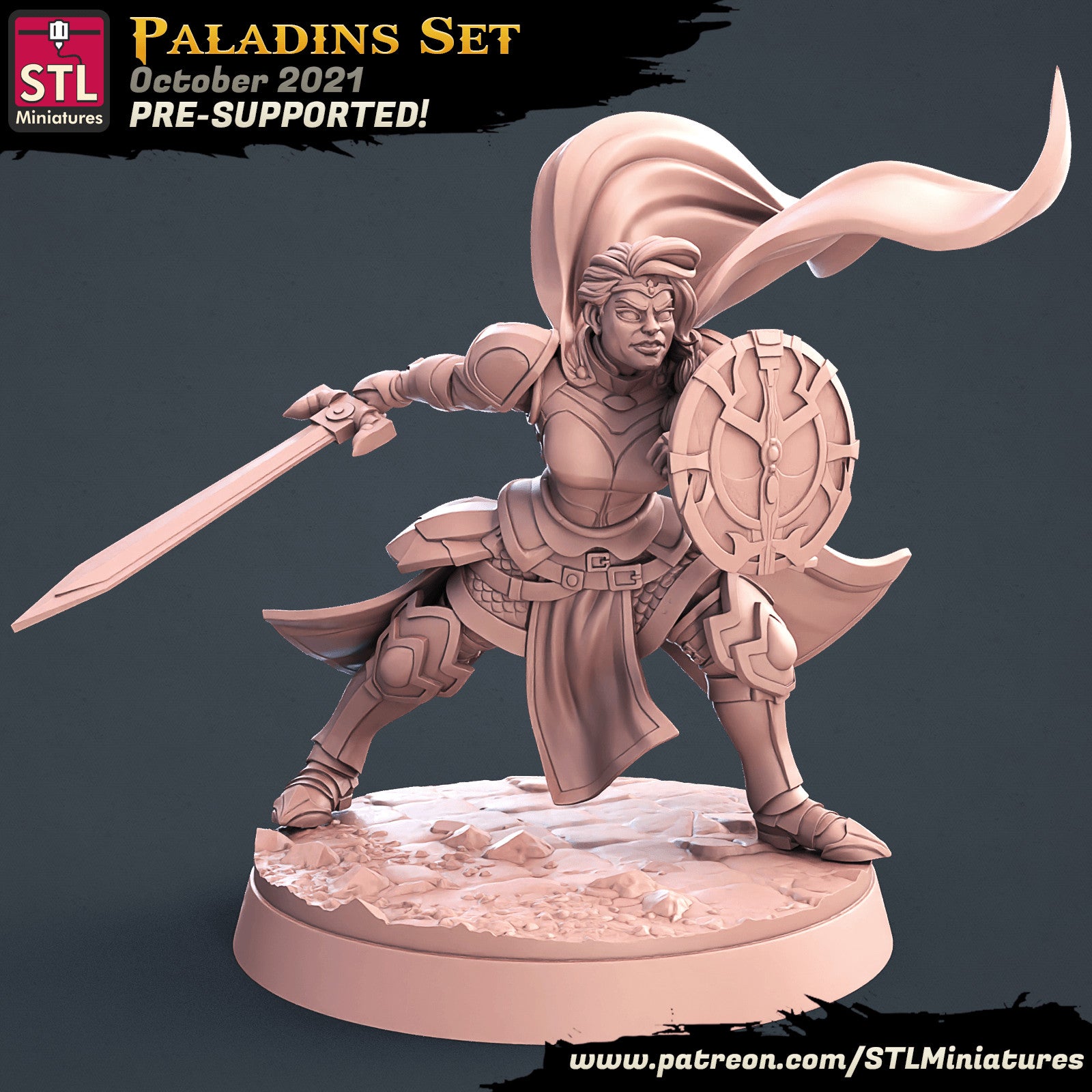 Paladin 28mm miniature
