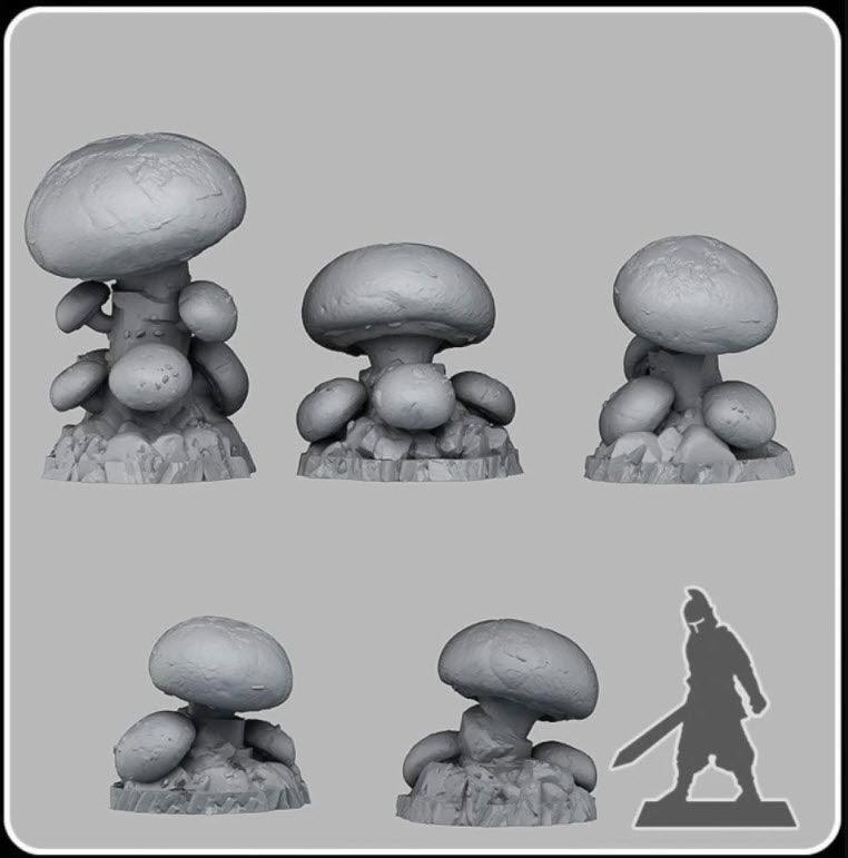 Cave Mushrooms