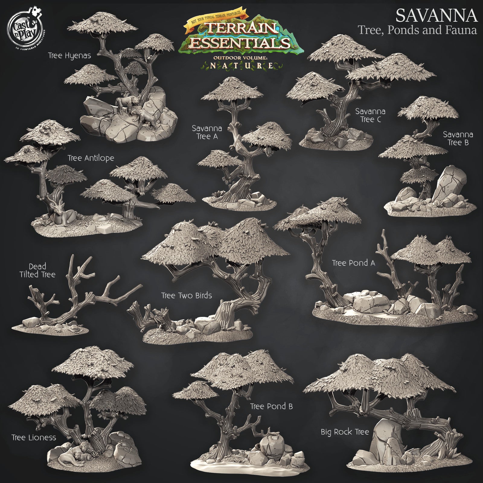 Nature - Savanna Terrain Trees, Ponds