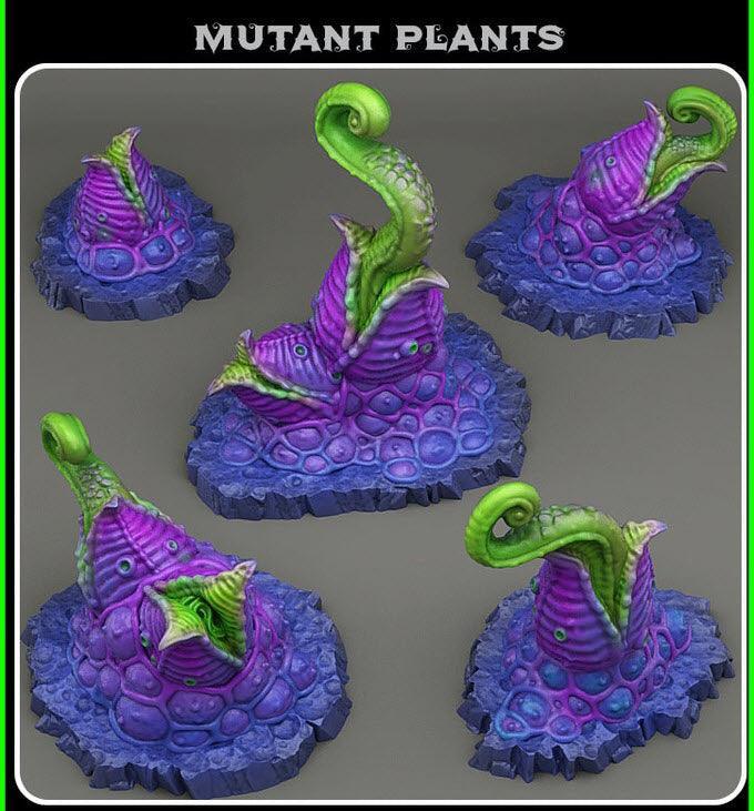 Fantastic Plants and Rocks scenery