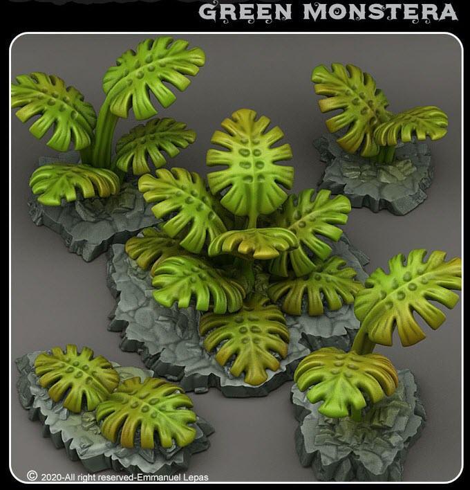 Green Monstera