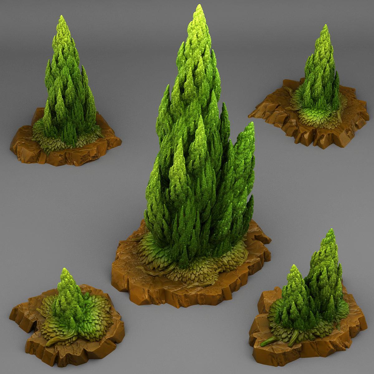 Spiraling Pine