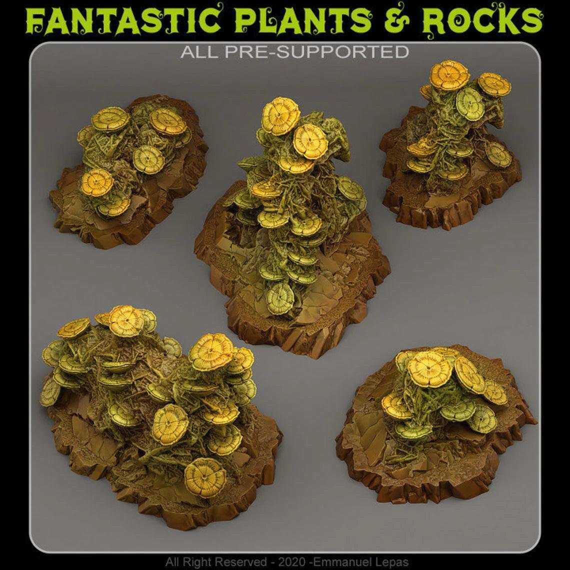 Ancient Moulds