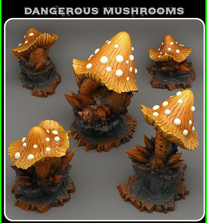 Dangerous Mushrooms