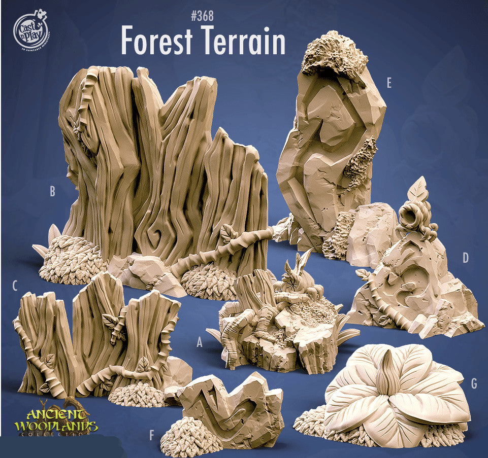 Forest Terrain