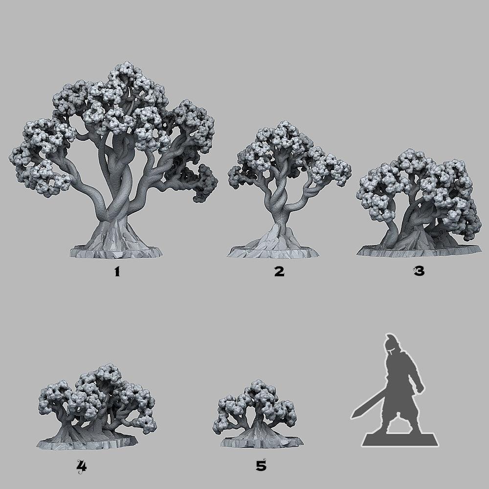 Bonsai Cherry Trees