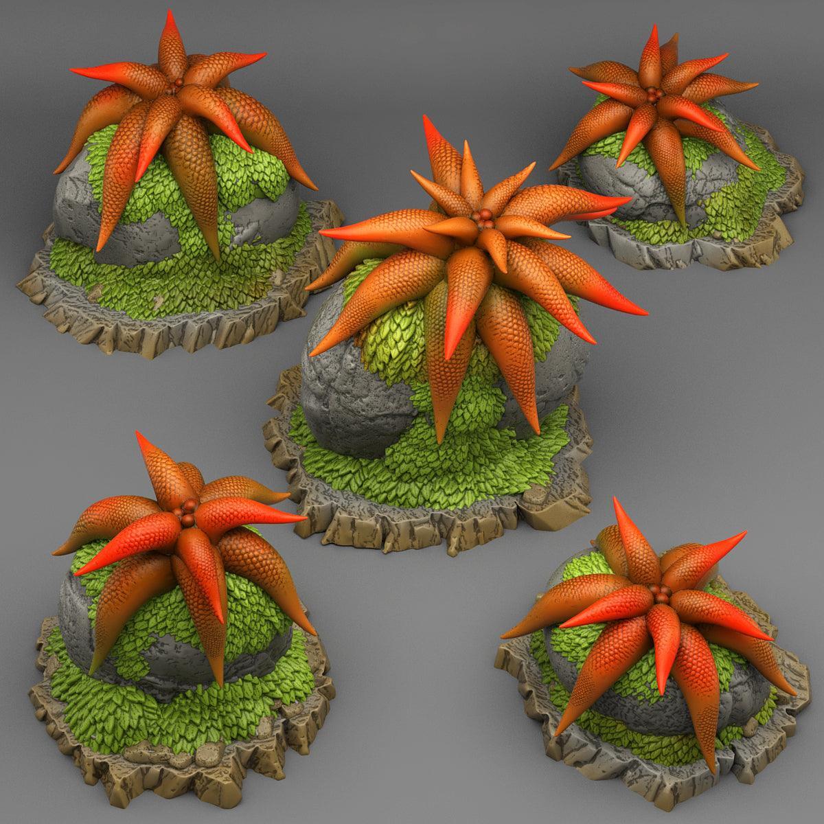 Mysterious Starfish Flowers
