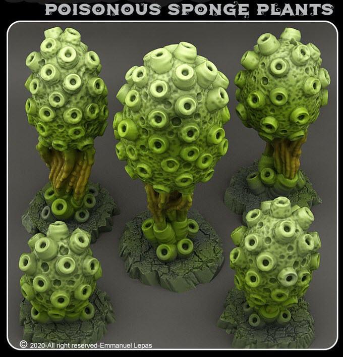 Poisonous Sponge Plants