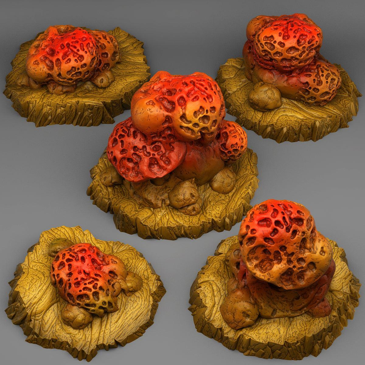 Wormhole Mushrooms