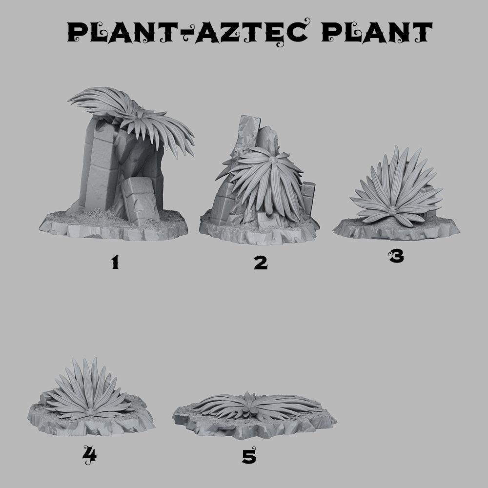 Aztec Plant