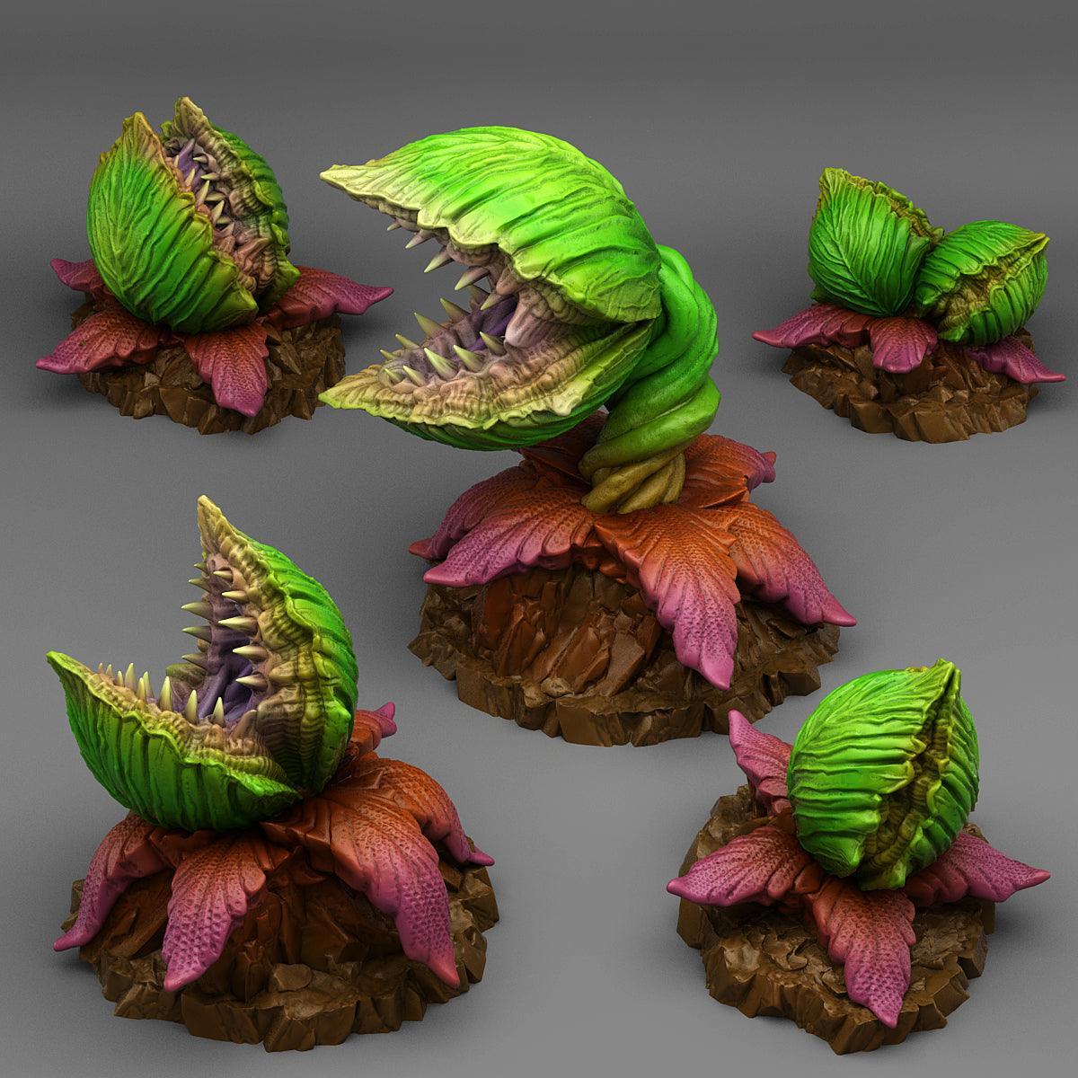 Massive Carnivorous Plants