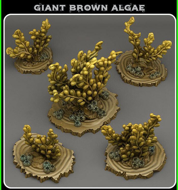 Giant Brown Algae