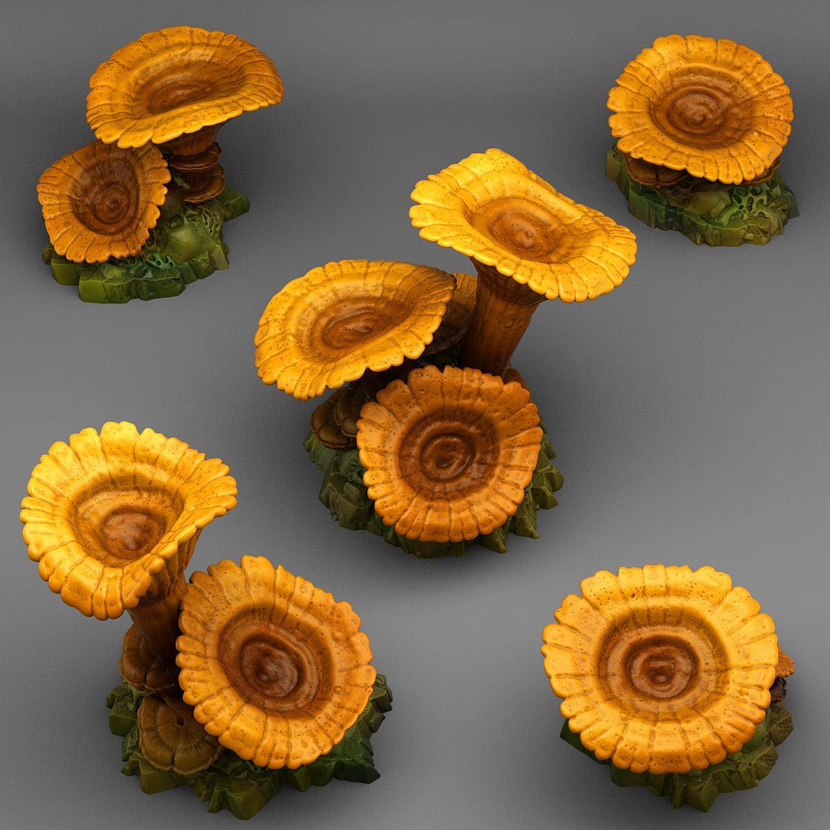 Giant Orange Mushrooms