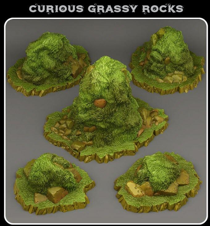 Curious Grassy Rocks