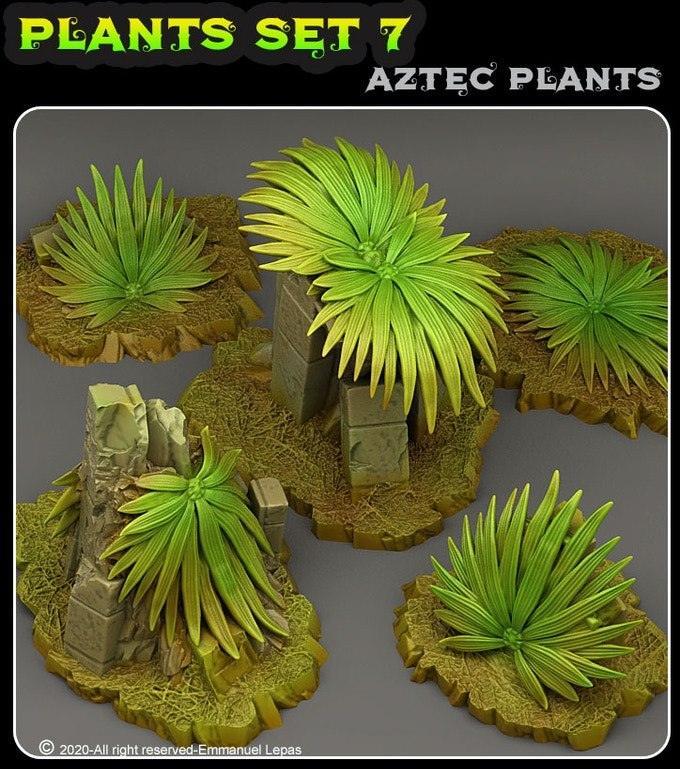 Aztec Plant