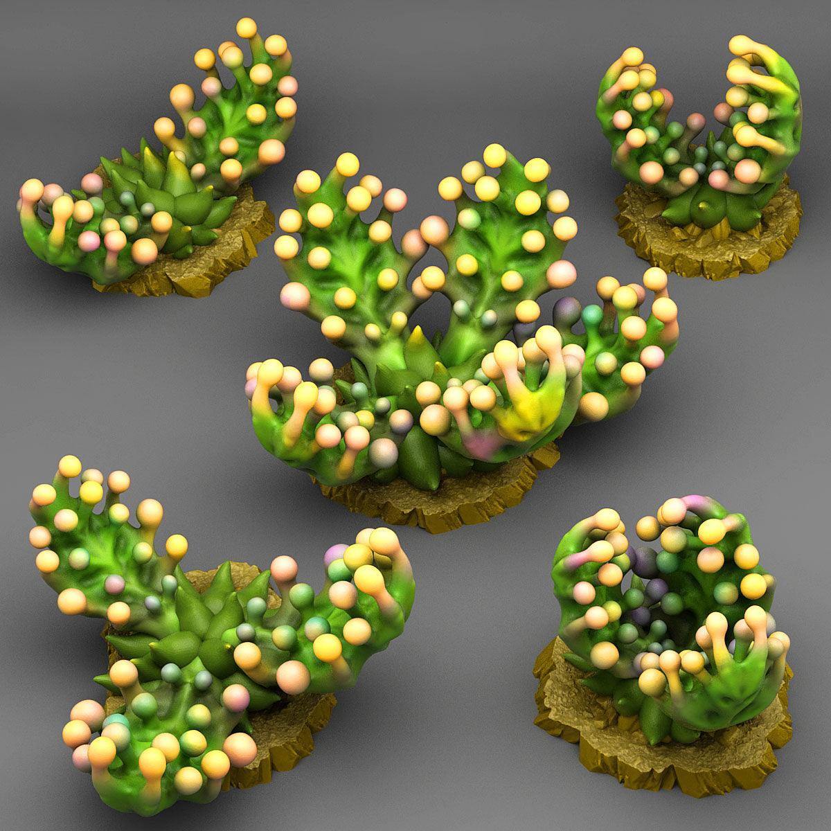 Fantastic Plants Bubble Carnivorous Plants