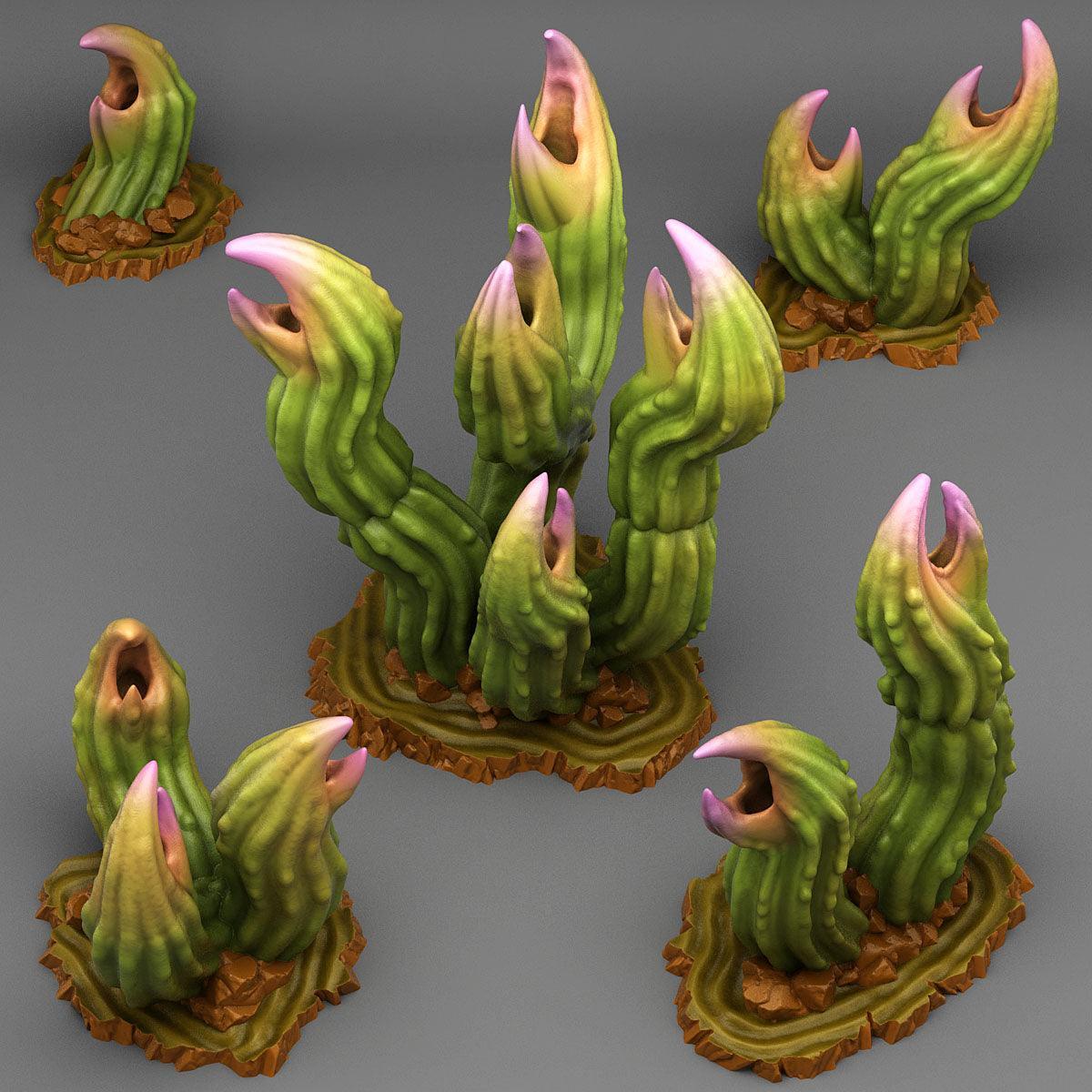 Exotic Carnivorous Cactus