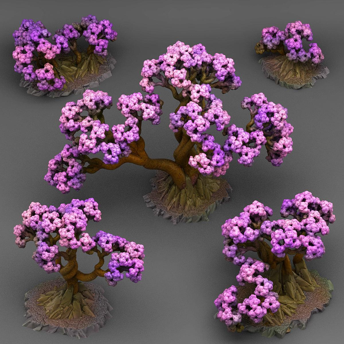 Bonsai Cherry Trees
