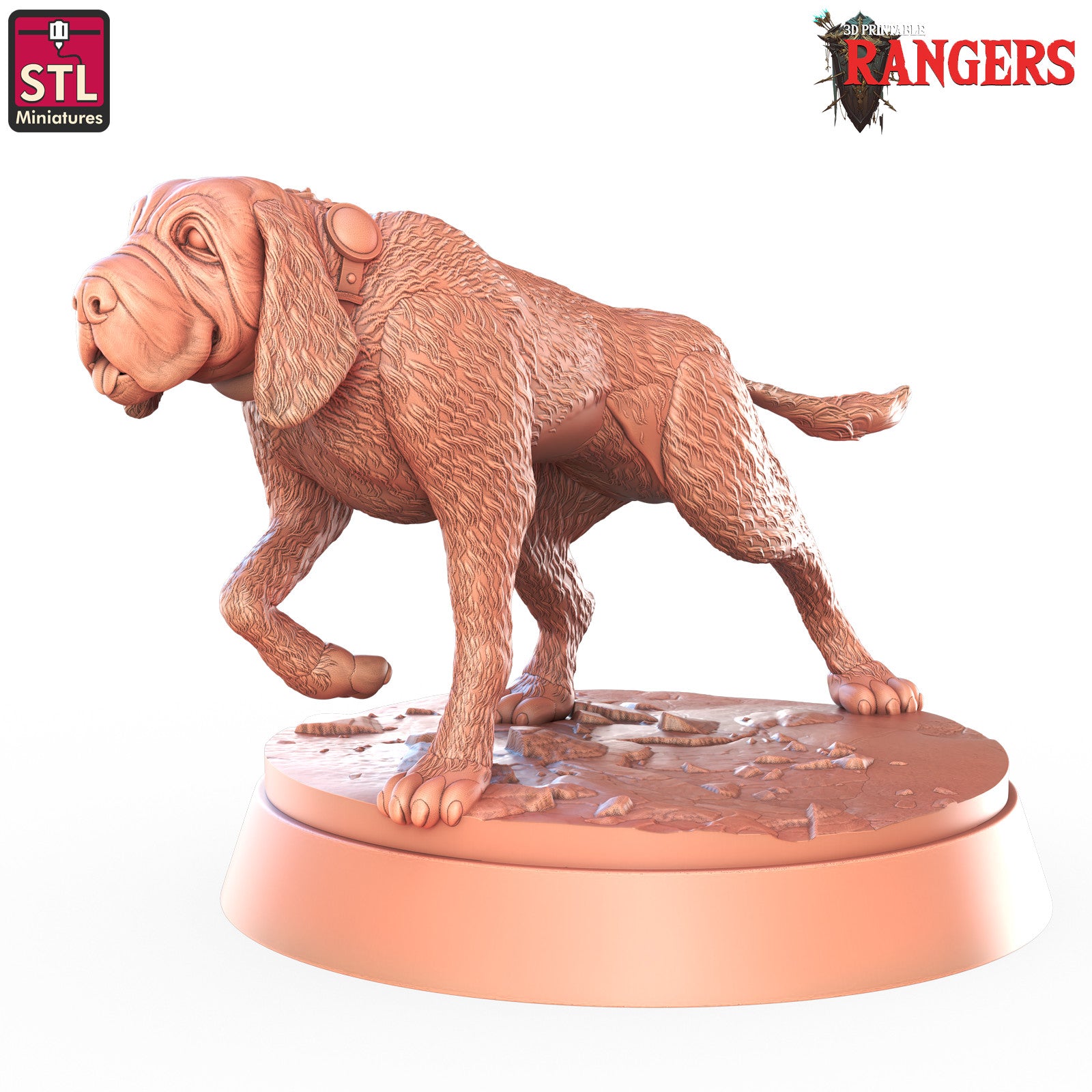 Ranger hound miniature A
