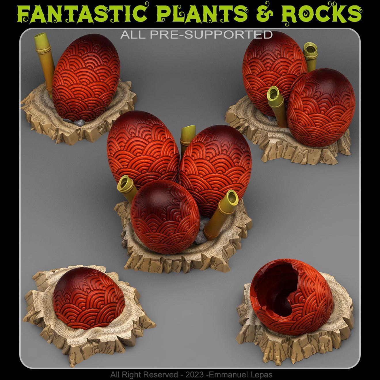 Asian Dragon Eggs