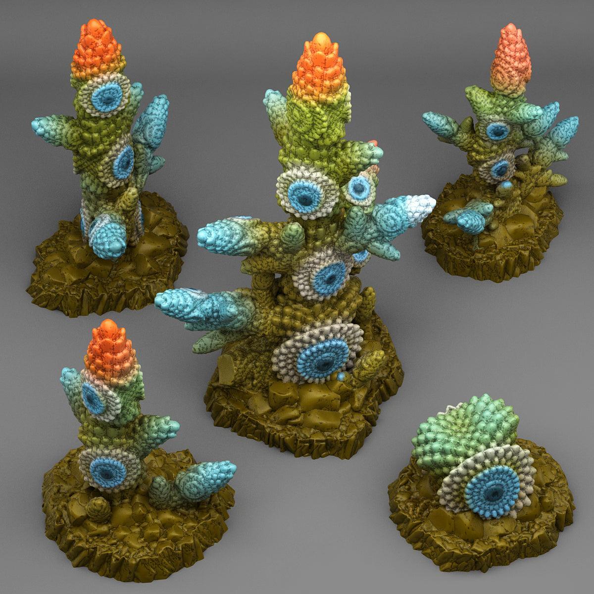 Shield Cactus