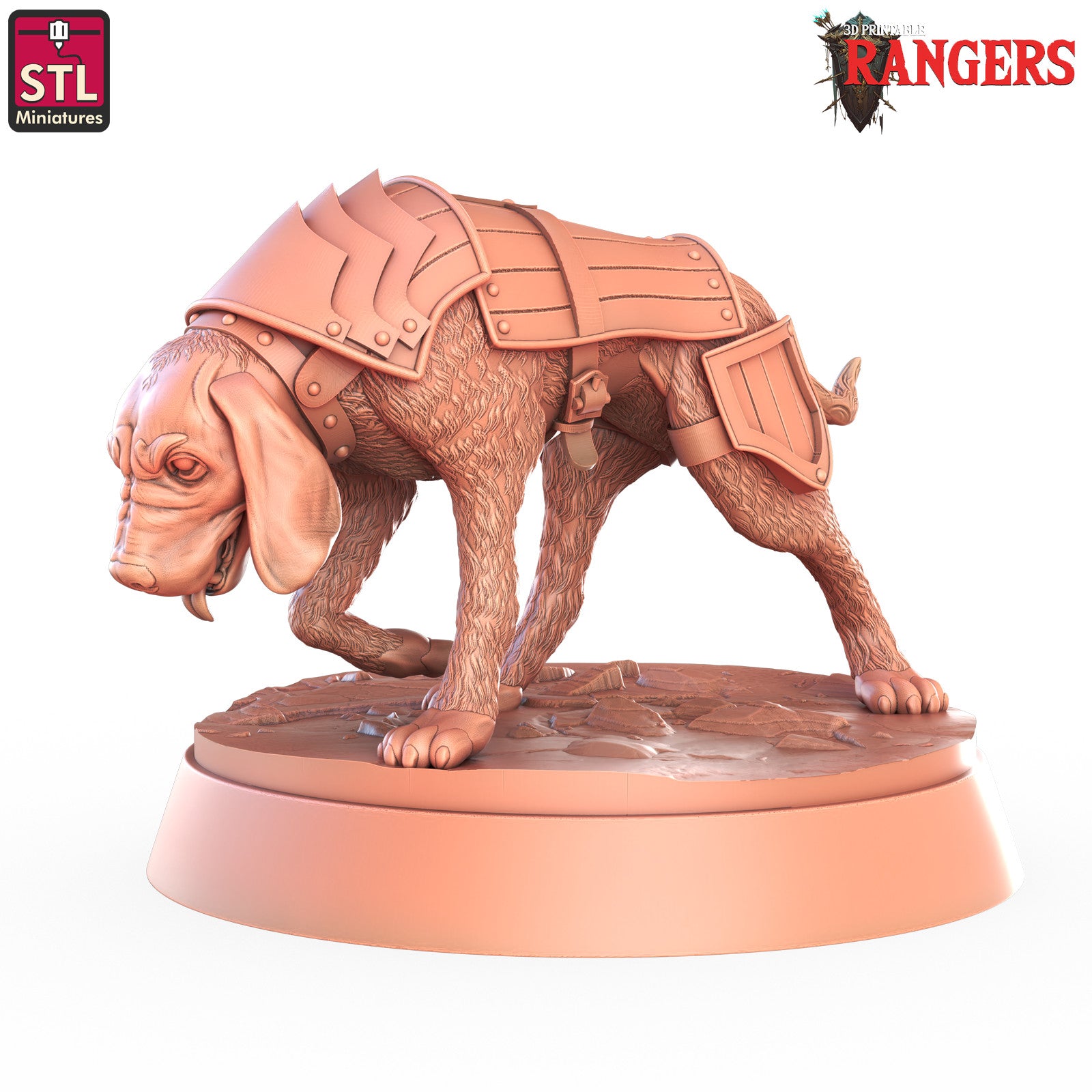 Ranger hound miniature C