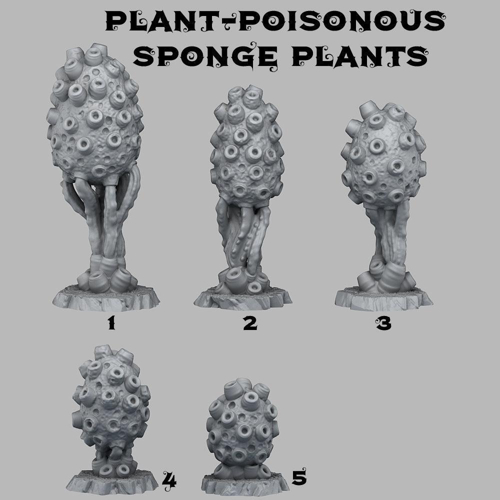 Poisonous Sponge Plants