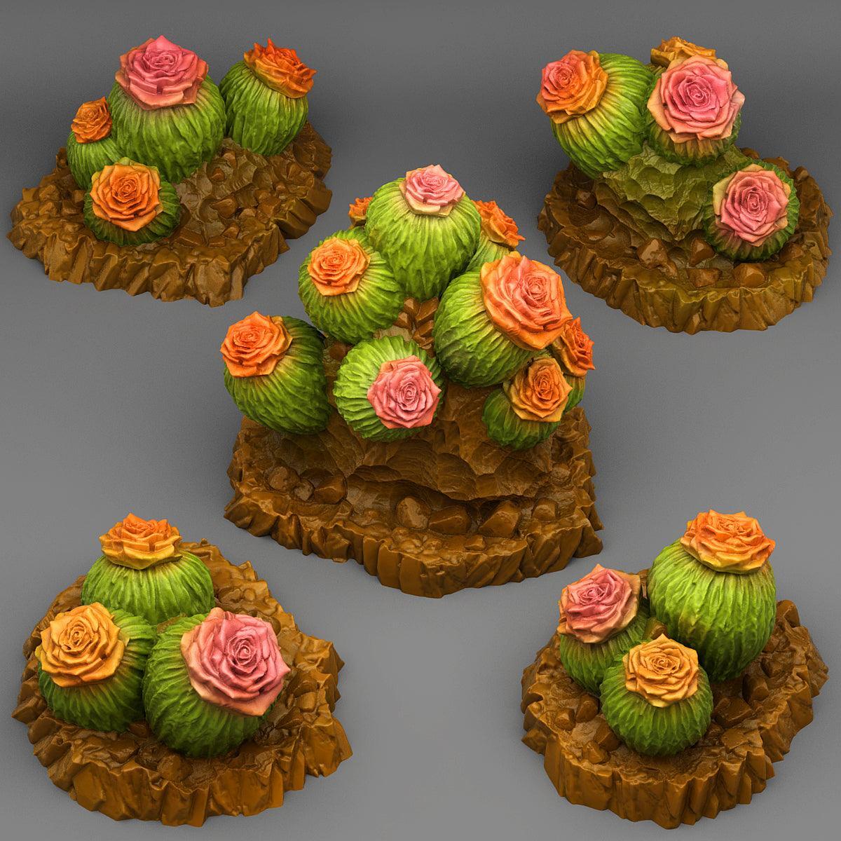 Cactus Flowers