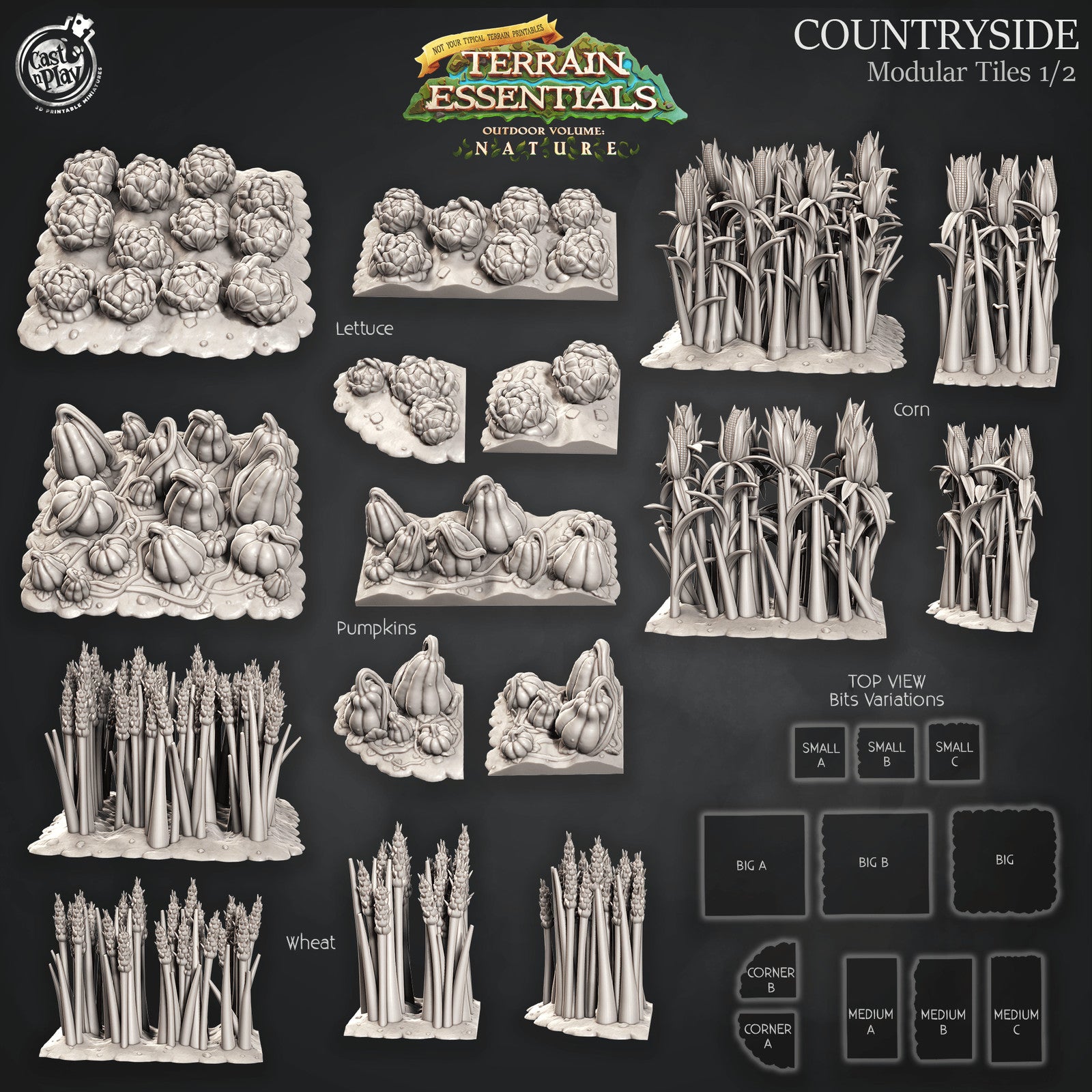 Nature Meadows and Countryside Terrain