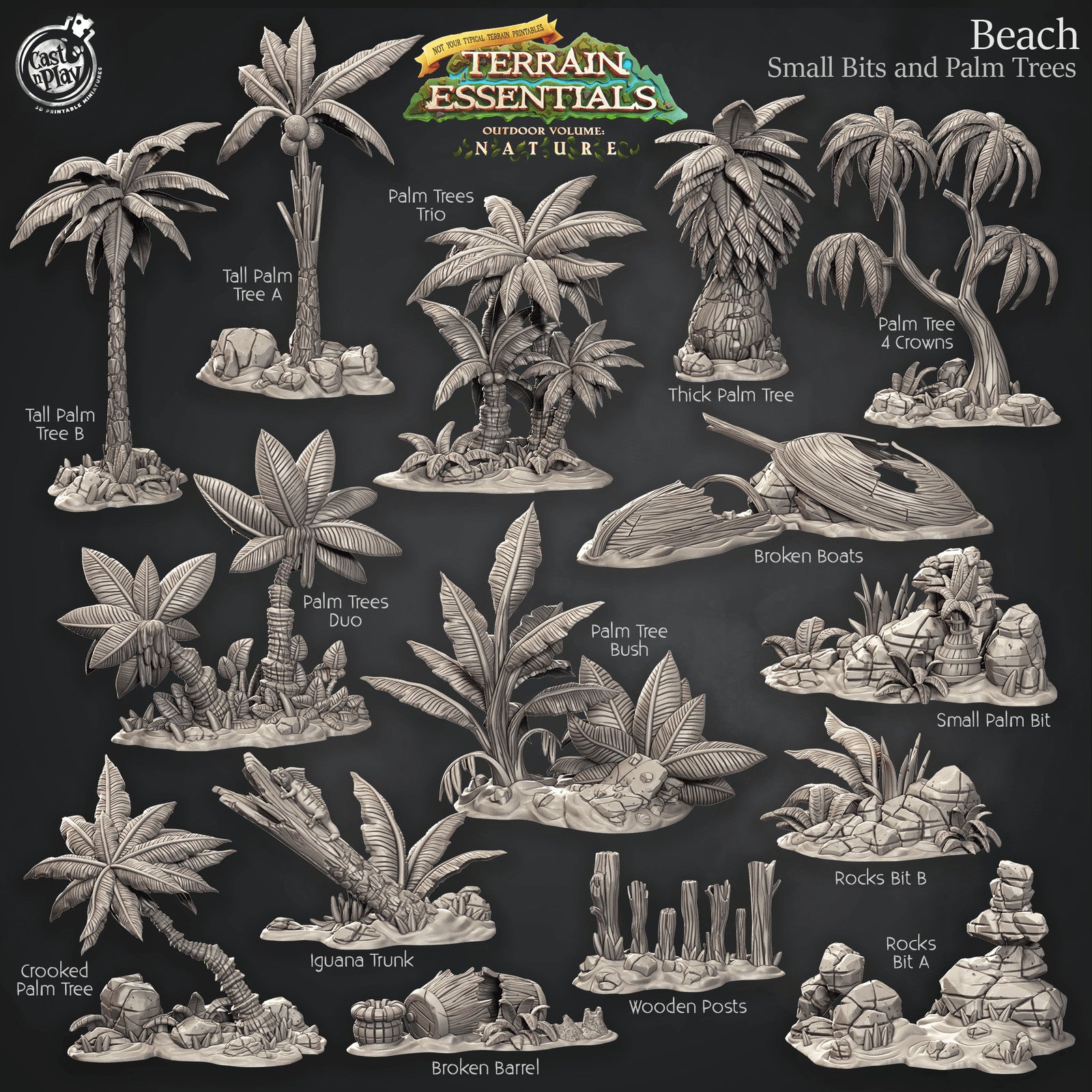 Beach Small Bits and Palm Trees Nature